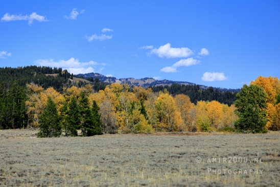 Jackson_Lake_Overlook_Grand_Teton_Park_and_Yellowstone_National_Wyoming_USA_landscape_nature_Photography_097_Canon_EOS_R5_Mark_II.JPG