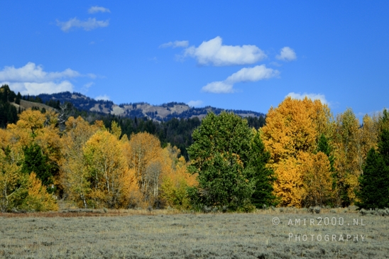 Jackson_Lake_Overlook_Grand_Teton_Park_and_Yellowstone_National_Wyoming_USA_landscape_nature_Photography_098_Canon_EOS_R5_Mark_II.JPG