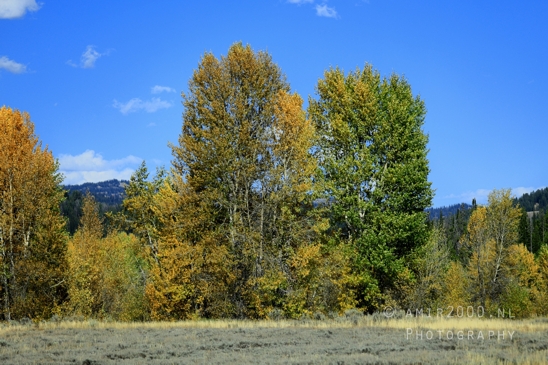 Jackson_Lake_Overlook_Grand_Teton_Park_and_Yellowstone_National_Wyoming_USA_landscape_nature_Photography_099_Canon_EOS_R5_Mark_II.JPG