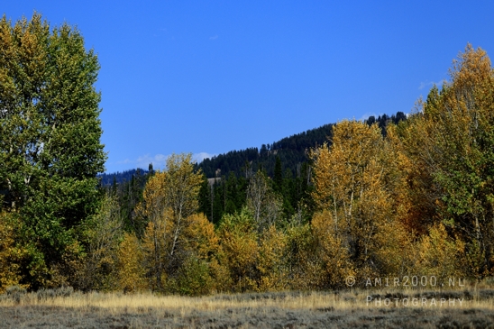 Jackson_Lake_Overlook_Grand_Teton_Park_and_Yellowstone_National_Wyoming_USA_landscape_nature_Photography_100_Canon_EOS_R5_Mark_II.JPG