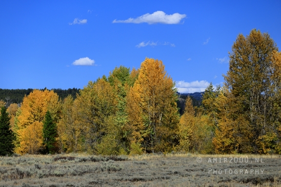 Jackson_Lake_Overlook_Grand_Teton_Park_and_Yellowstone_National_Wyoming_USA_landscape_nature_Photography_101_Canon_EOS_R5_Mark_II.JPG