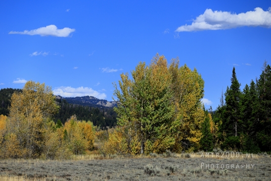 Jackson_Lake_Overlook_Grand_Teton_Park_and_Yellowstone_National_Wyoming_USA_landscape_nature_Photography_103_Canon_EOS_R5_Mark_II.JPG