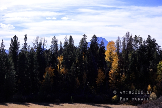 Jackson_Lake_Overlook_Grand_Teton_Park_and_Yellowstone_National_Wyoming_USA_landscape_nature_Photography_109_Canon_EOS_R5_Mark_II.JPG