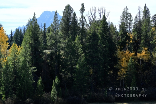Jackson_Lake_Overlook_Grand_Teton_Park_and_Yellowstone_National_Wyoming_USA_landscape_nature_Photography_111_Canon_EOS_R5_Mark_II.JPG