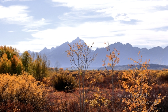 Jackson_Lake_Overlook_Grand_Teton_Park_and_Yellowstone_National_Wyoming_USA_landscape_nature_Photography_117_Canon_EOS_R5_Mark_II.JPG
