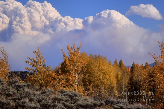 Jackson_Lake_Overlook_Grand_Teton_Park_and_Yellowstone_National_Wyoming_USA_landscape_nature_Photography_118_Canon_EOS_R5_Mark_II.JPG