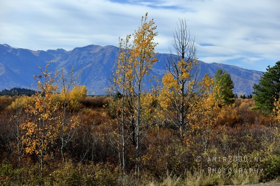 Jackson_Lake_Overlook_Grand_Teton_Park_and_Yellowstone_National_Wyoming_USA_landscape_nature_Photography_121_Canon_EOS_R5_Mark_II.JPG