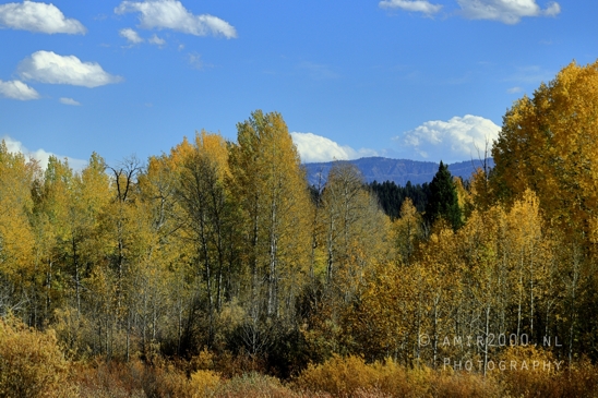 Jackson_Lake_Overlook_Grand_Teton_Park_and_Yellowstone_National_Wyoming_USA_landscape_nature_Photography_122_Canon_EOS_R5_Mark_II.JPG
