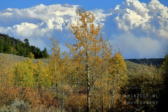 Jackson_Lake_Overlook_Grand_Teton_Park_and_Yellowstone_National_Wyoming_USA_landscape_nature_Photography_124_Canon_EOS_R5_Mark_II.JPG