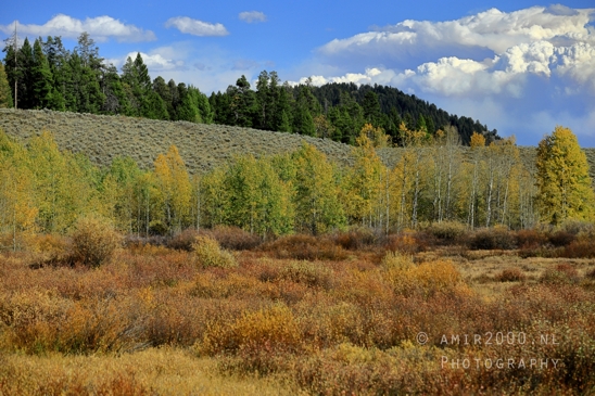 Jackson_Lake_Overlook_Grand_Teton_Park_and_Yellowstone_National_Wyoming_USA_landscape_nature_Photography_125_Canon_EOS_R5_Mark_II.JPG
