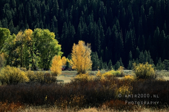 Jackson_Lake_Overlook_Grand_Teton_Park_and_Yellowstone_National_Wyoming_USA_landscape_nature_Photography_131_Canon_EOS_R5_Mark_II.JPG