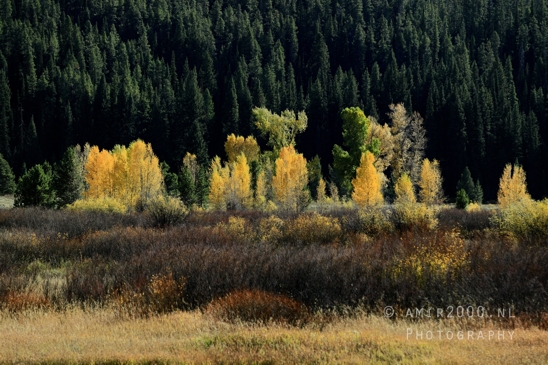 Jackson_Lake_Overlook_Grand_Teton_Park_and_Yellowstone_National_Wyoming_USA_landscape_nature_Photography_132_Canon_EOS_R5_Mark_II.JPG