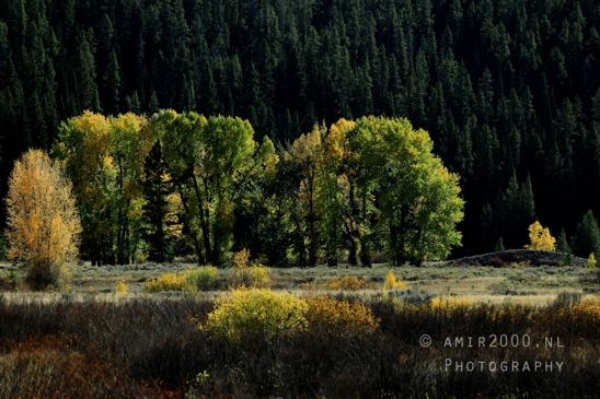 Jackson_Lake_Overlook_Grand_Teton_Park_and_Yellowstone_National_Wyoming_USA_landscape_nature_Photography_133_Canon_EOS_R5_Mark_II.JPG