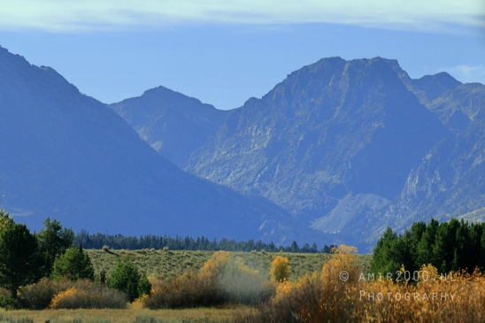 Jackson_Lake_Overlook_Grand_Teton_Park_and_Yellowstone_National_Wyoming_USA_landscape_nature_Photography_134_Canon_EOS_R5_Mark_II.JPG