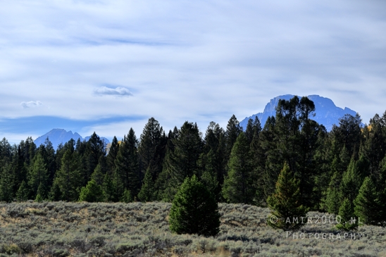 Jackson_Lake_Overlook_Grand_Teton_Park_and_Yellowstone_National_Wyoming_USA_landscape_nature_Photography_139_Canon_EOS_R5_Mark_II.JPG