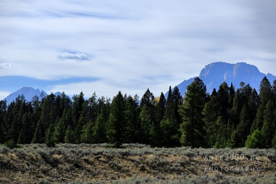 Jackson_Lake_Overlook_Grand_Teton_Park_and_Yellowstone_National_Wyoming_USA_landscape_nature_Photography_141_Canon_EOS_R5_Mark_II.JPG