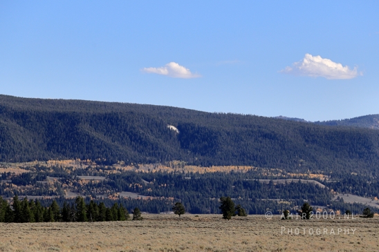 Jackson_Lake_Overlook_Grand_Teton_Park_and_Yellowstone_National_Wyoming_USA_landscape_nature_Photography_142_Canon_EOS_R5_Mark_II.JPG