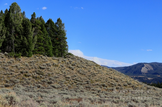 Jackson_Lake_Overlook_Grand_Teton_Park_and_Yellowstone_National_Wyoming_USA_landscape_nature_Photography_143_Canon_EOS_R5_Mark_II.JPG