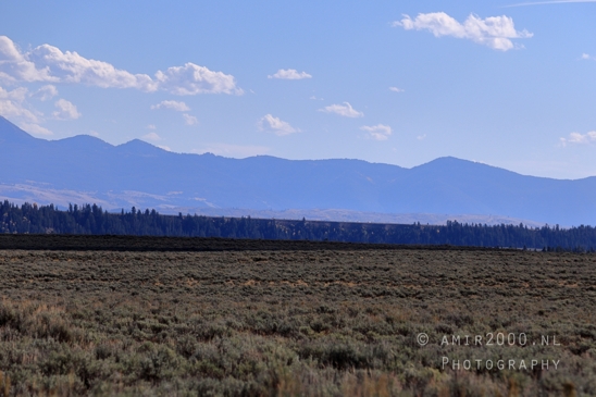 Jackson_Lake_Overlook_Grand_Teton_Park_and_Yellowstone_National_Wyoming_USA_landscape_nature_Photography_144_Canon_EOS_R5_Mark_II.JPG