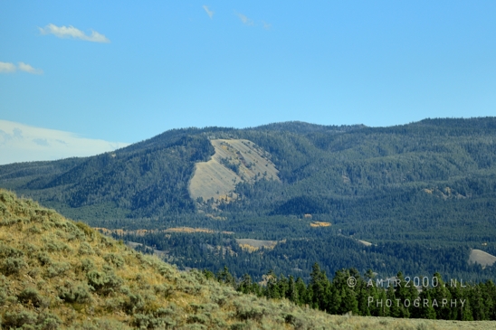 Jackson_Lake_Overlook_Grand_Teton_Park_and_Yellowstone_National_Wyoming_USA_landscape_nature_Photography_149_Canon_EOS_R5_Mark_II.JPG