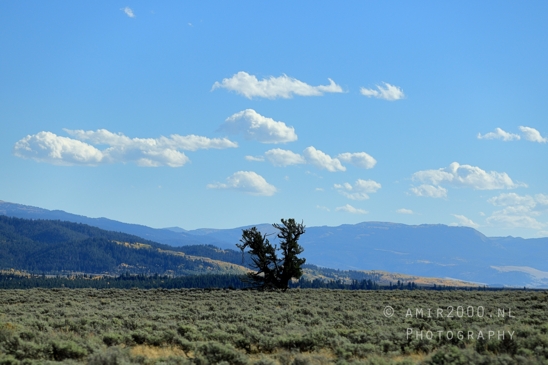 Jackson_Lake_Overlook_Grand_Teton_Park_and_Yellowstone_National_Wyoming_USA_landscape_nature_Photography_151_Canon_EOS_R5_Mark_II.JPG