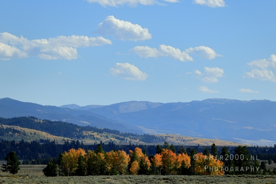 Jackson_Lake_Overlook_Grand_Teton_Park_and_Yellowstone_National_Wyoming_USA_landscape_nature_Photography_152_Canon_EOS_R5_Mark_II.JPG