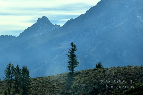 Jackson_Lake_Overlook_Grand_Teton_Park_and_Yellowstone_National_Wyoming_USA_landscape_nature_Photography_165_Canon_EOS_R5_Mark_II.JPG