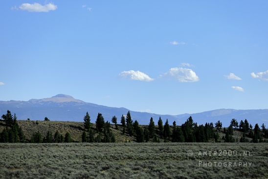 Jackson_Lake_Overlook_Grand_Teton_Park_and_Yellowstone_National_Wyoming_USA_landscape_nature_Photography_167_Canon_EOS_R5_Mark_II.JPG
