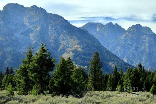 Jackson_Lake_Overlook_Grand_Teton_Park_and_Yellowstone_National_Wyoming_USA_landscape_nature_Photography_174_Canon_EOS_R5_Mark_II.JPG