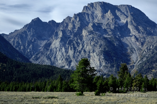 Jackson_Lake_Overlook_Grand_Teton_Park_and_Yellowstone_National_Wyoming_USA_landscape_nature_Photography_178_Canon_EOS_R5_Mark_II.JPG