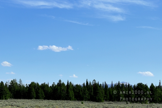Jackson_Lake_Overlook_Grand_Teton_Park_and_Yellowstone_National_Wyoming_USA_landscape_nature_Photography_185_Canon_EOS_R5_Mark_II.JPG