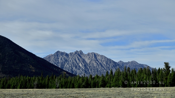Jackson_Lake_Overlook_Grand_Teton_Park_and_Yellowstone_National_Wyoming_USA_landscape_nature_Photography_186_Canon_EOS_R5_Mark_II.JPG