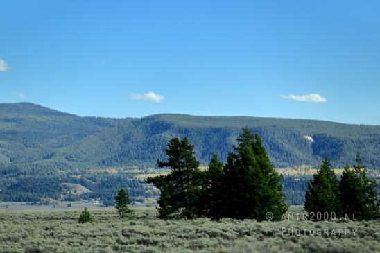 Jackson_Lake_Overlook_Grand_Teton_Park_and_Yellowstone_National_Wyoming_USA_landscape_nature_Photography_199_Canon_EOS_R5_Mark_II.JPG