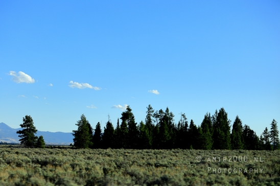 Jackson_Lake_Overlook_Grand_Teton_Park_and_Yellowstone_National_Wyoming_USA_landscape_nature_Photography_206_Canon_EOS_R5_Mark_II.JPG