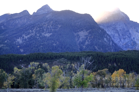 Jackson_Lake_Overlook_Grand_Teton_Park_and_Yellowstone_National_Wyoming_USA_landscape_nature_Photography_244_Canon_EOS_R5_Mark_II.JPG