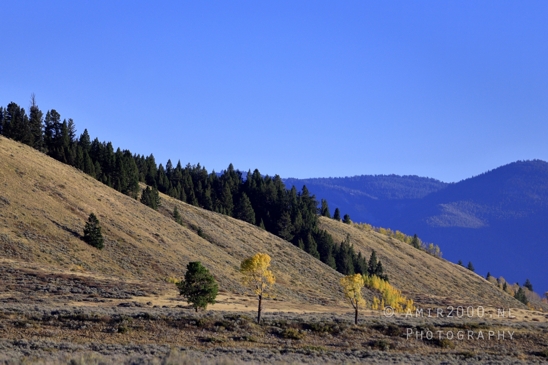 Jackson_Lake_Overlook_Grand_Teton_Park_and_Yellowstone_National_Wyoming_USA_landscape_nature_Photography_264_Canon_EOS_R5_Mark_II.JPG