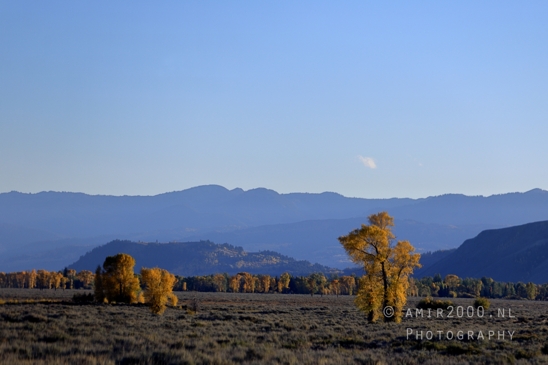 Jackson_Lake_Overlook_Grand_Teton_Park_and_Yellowstone_National_Wyoming_USA_landscape_nature_Photography_271_Canon_EOS_R5_Mark_II.JPG