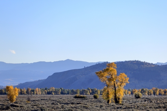 Jackson_Lake_Overlook_Grand_Teton_Park_and_Yellowstone_National_Wyoming_USA_landscape_nature_Photography_272_Canon_EOS_R5_Mark_II.JPG