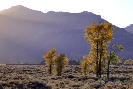 Jackson_Lake_Overlook_Grand_Teton_Park_and_Yellowstone_National_Wyoming_USA_landscape_nature_Photography_273_Canon_EOS_R5_Mark_II.JPG
