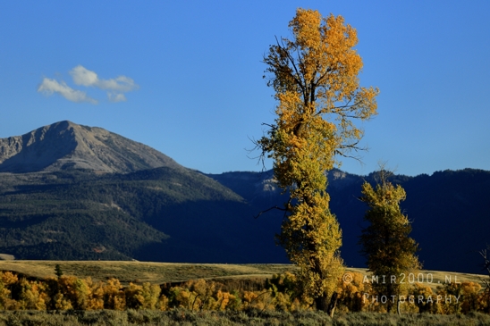 Jackson_Lake_Overlook_Grand_Teton_Park_and_Yellowstone_National_Wyoming_USA_landscape_nature_Photography_279_Canon_EOS_R5_Mark_II.JPG