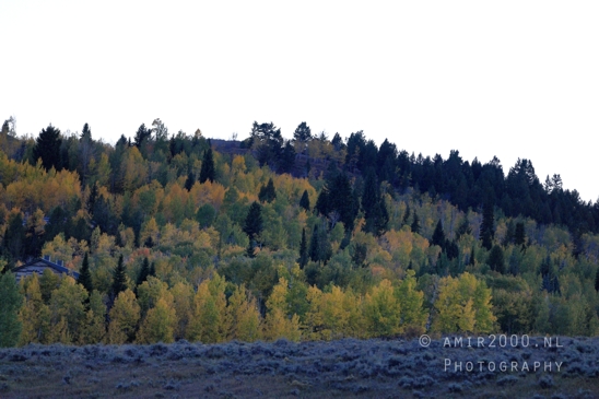 Jackson_Lake_Overlook_Grand_Teton_Park_and_Yellowstone_National_Wyoming_USA_landscape_nature_Photography_290_Canon_EOS_R5_Mark_II.JPG