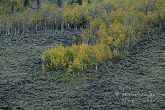 Jackson_Lake_Overlook_Grand_Teton_Park_and_Yellowstone_National_Wyoming_USA_landscape_nature_Photography_292_Canon_EOS_R5_Mark_II.JPG