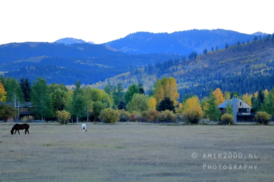 Jackson_Lake_Overlook_Grand_Teton_Park_and_Yellowstone_National_Wyoming_USA_landscape_nature_Photography_302_Canon_EOS_R5_Mark_II.JPG