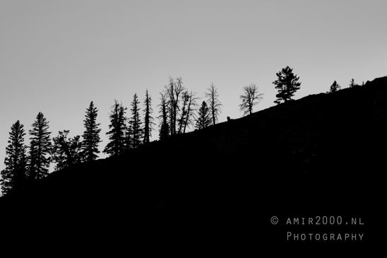 Jackson_Lake_Overlook_Grand_Teton_Park_and_Yellowstone_National_Wyoming_USA_landscape_nature_Photography_309_Canon_EOS_R5_Mark_II.JPG