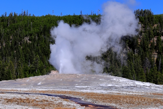 Old_Faithful_Geyser_Yellowstone_National_Park_Wyoming_USA_landscape_nature_And_Grand_Teton_Photography_012_Canon_EOS_R5_Mark_II.JPG