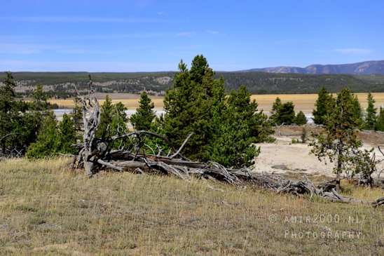 Upper_Geyser_Basin_Morning_Glory_Pool_Yellowstone_National_Park_Wyoming_USA_landscape_nature_And_Grand_Teton_Photography_025_Canon_EOS_R5_Mark_II.JPG