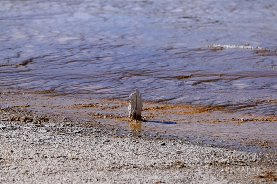 Upper_Geyser_Basin_Morning_Glory_Pool_Yellowstone_National_Park_Wyoming_USA_landscape_nature_And_Grand_Teton_Photography_072_Canon_EOS_R5_Mark_II.JPG