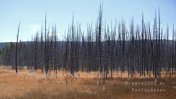 Upper_Geyser_Basin_Morning_Glory_Pool_Yellowstone_National_Park_Wyoming_USA_landscape_nature_And_Grand_Teton_Photography_081_Canon_EOS_R5_Mark_II.JPG