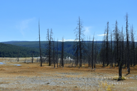 Upper_Geyser_Basin_Morning_Glory_Pool_Yellowstone_National_Park_Wyoming_USA_landscape_nature_And_Grand_Teton_Photography_082_Canon_EOS_R5_Mark_II.JPG