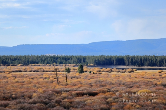 Yellowstone_National_Park_Wyoming_USA_landscape_nature_And_Grand_Teton_Photography_002_Canon_EOS_R5_Mark_II.JPG